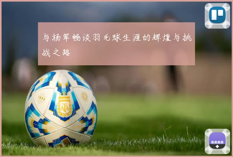 与杨军畅谈羽毛球生涯的辉煌与挑战之路